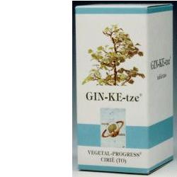 GINKETZE BIO 80 TAVOLETTE 600MG