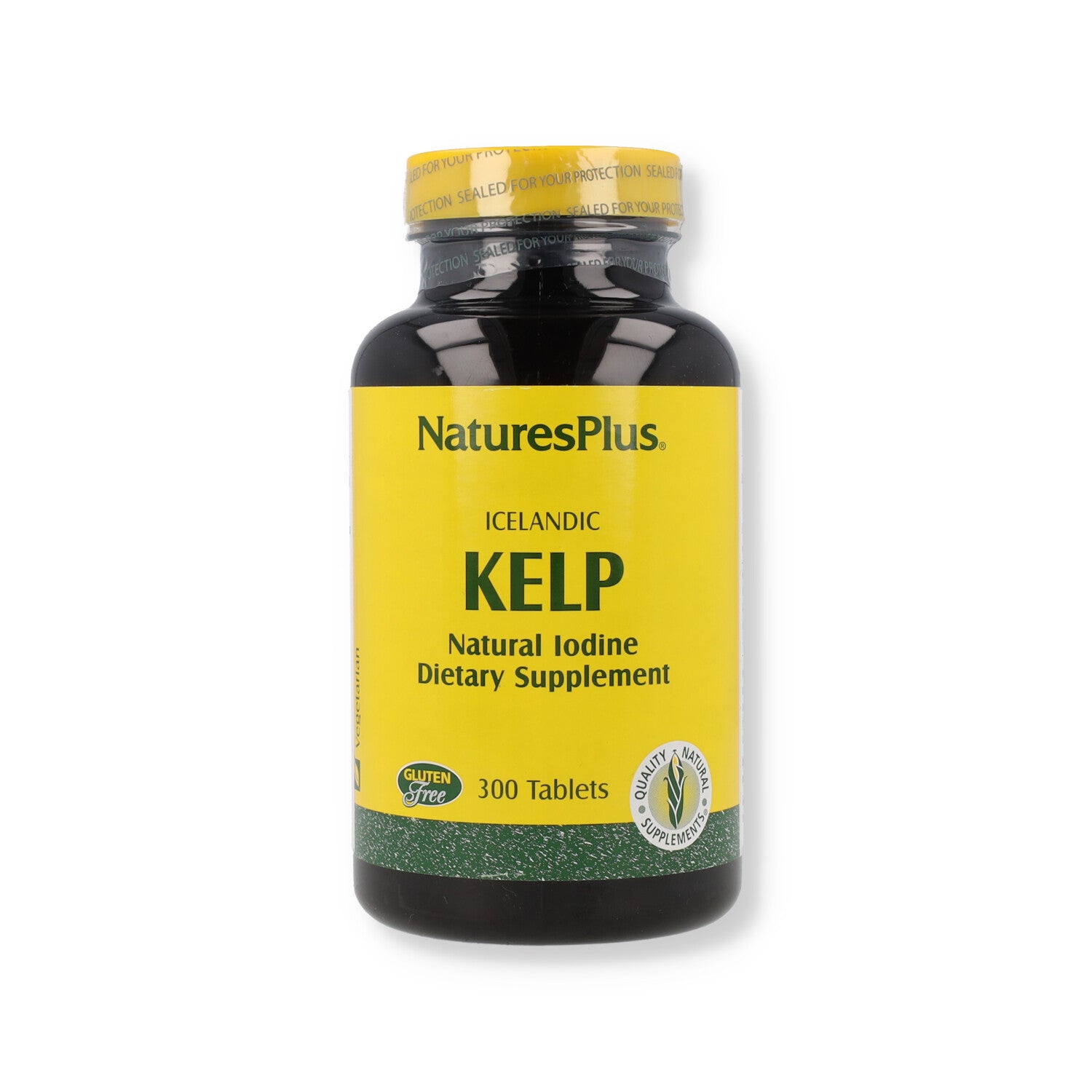 ALGHE MARINE KELP