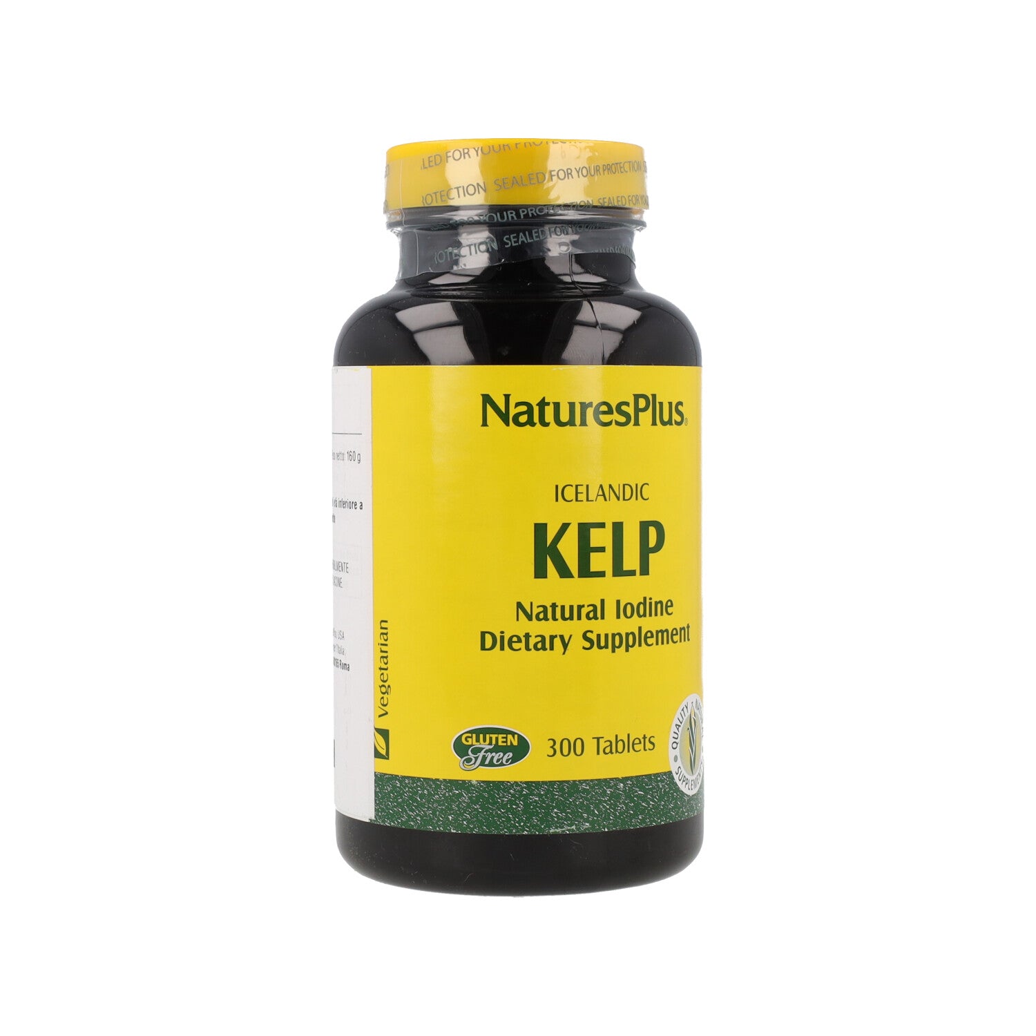 ALGHE MARINE KELP