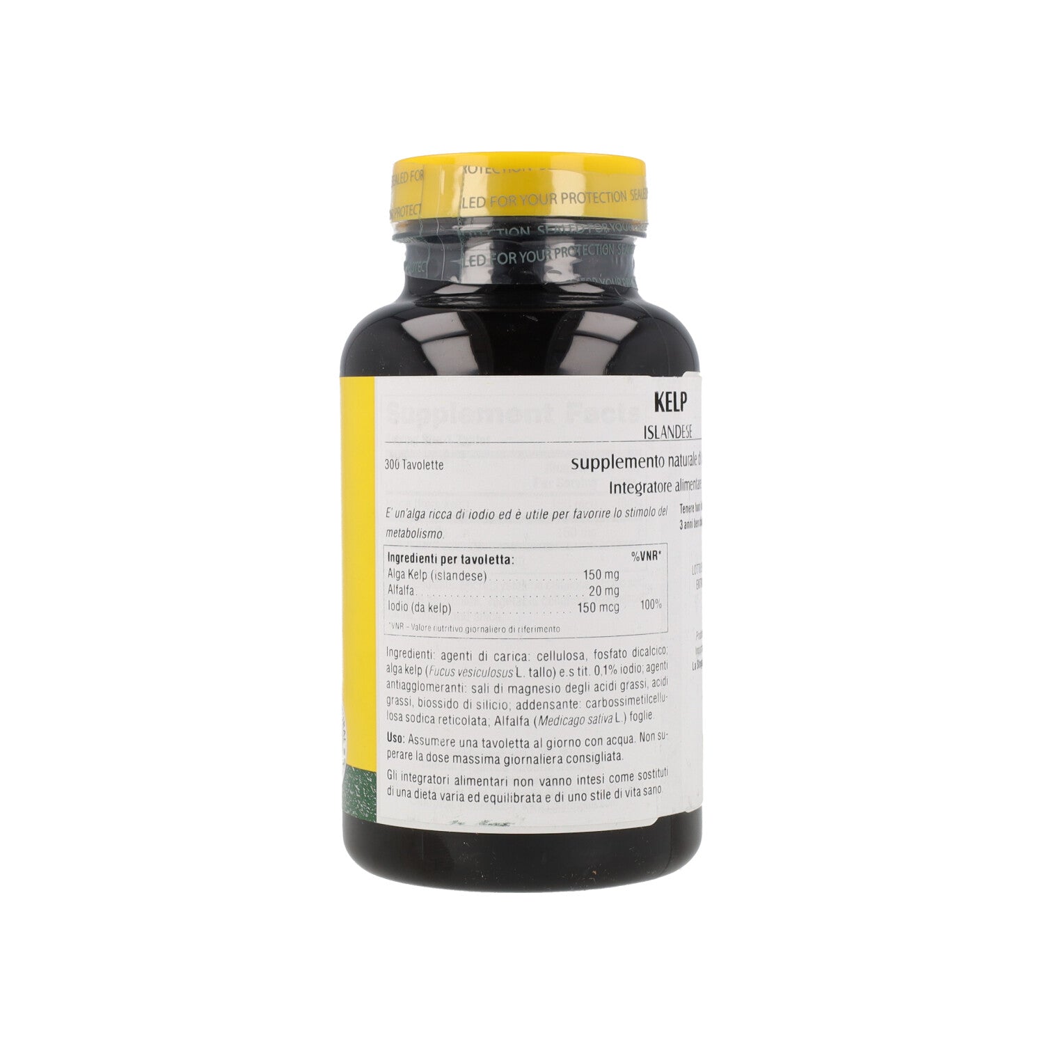 ALGHE MARINE KELP