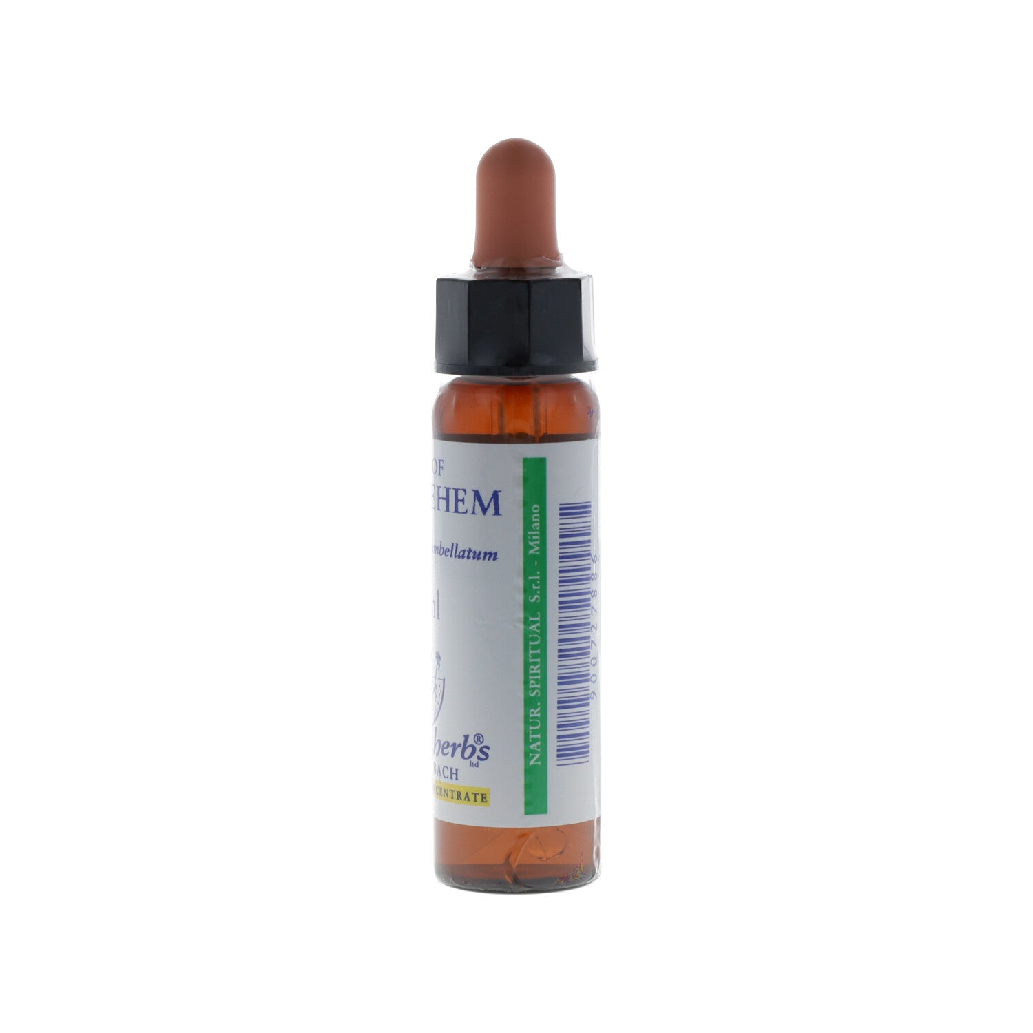 STAR OF BETHLEHEM ESSENZA 10ML