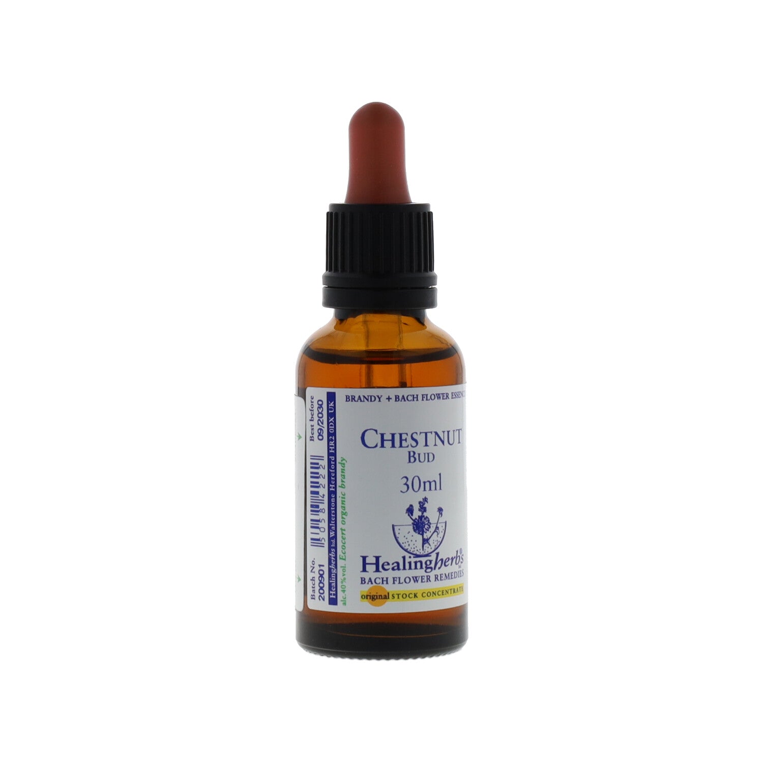 CHESTNUT BUD ESSENZA 30ML