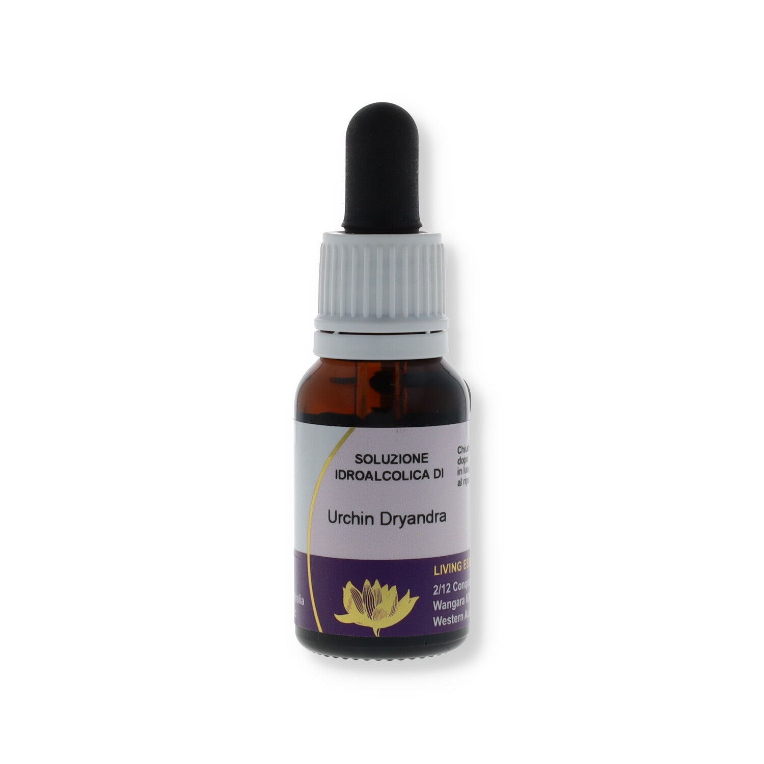 ESSENZA AUSTRALIAN LIVING URCHIN DRYANDRA 15ML