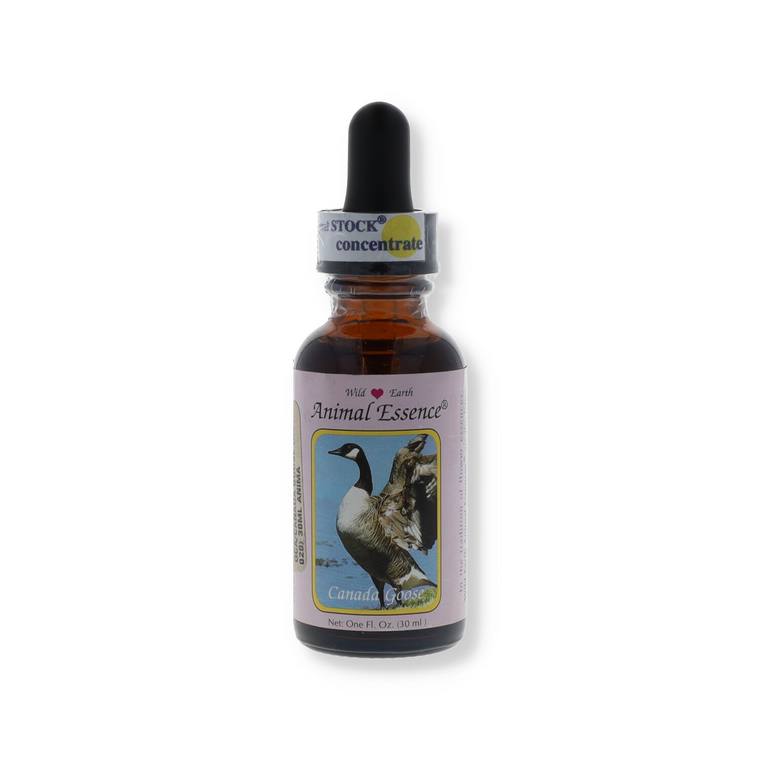 ESSENZA WILD EARTH CANADA GOOSE 30ML