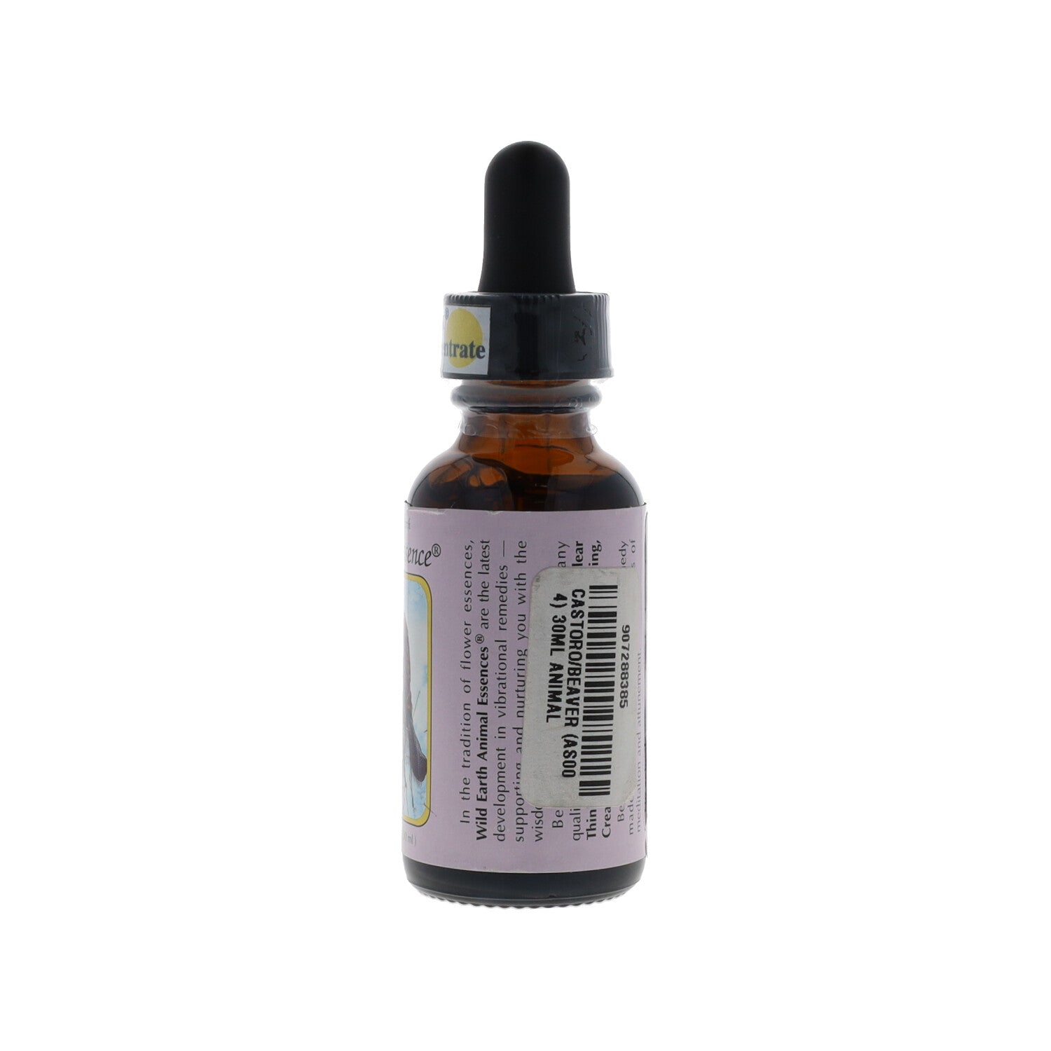 ESSENZA WILD EARTH BEAVER 30ML