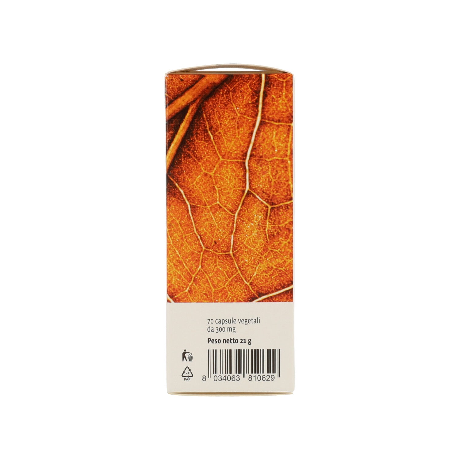 GINKGO BILOBA 70 CAPSULE