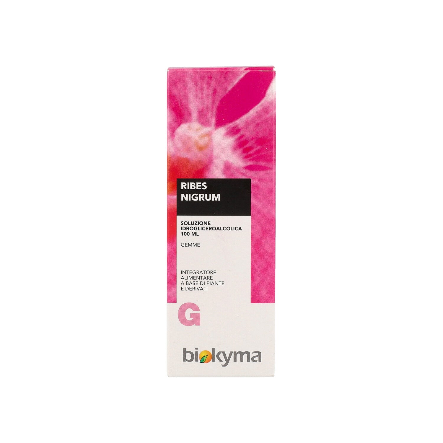RIBES NIGRUM TM 100ML