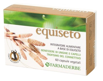 EQUISETO 60CPS 34,2G