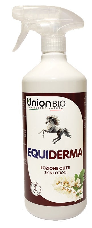 EQUIDERMA LOZ RIGEN CUTE 1L