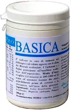 PRO BASICA POLVERE 200G