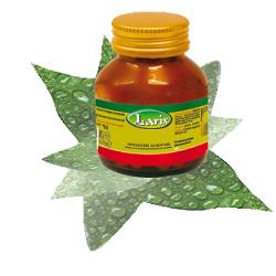 GUARANA' 12% - 60 CPS