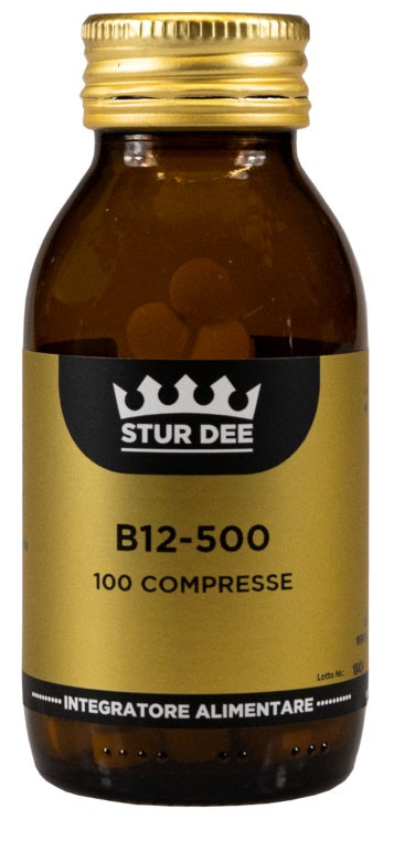 B12/500 100TAV STUR DEE