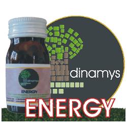 ENERGY 80TAV