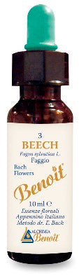 BENOIT FIORI DI BACH BEECH