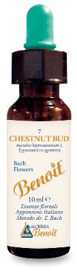 BENOIT FIORI DI BACH CHEST BUD