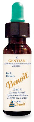BENOIT FIORI DI BACH GENTIAN