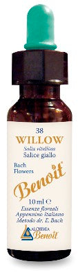 BENOIT FIORI DI BACH WILLOW