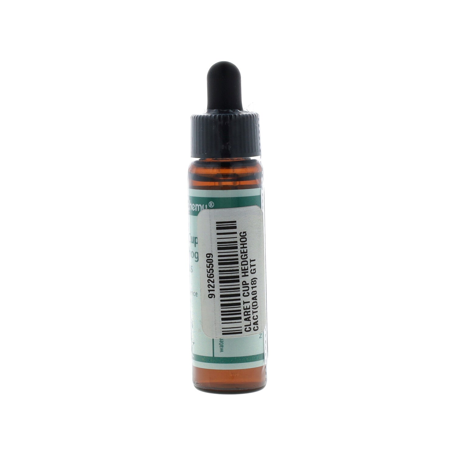 ESSENZA DEL DESERTO DELL'ARIZONA CLARET CUP HEDGEHOG CACTUS 10ML