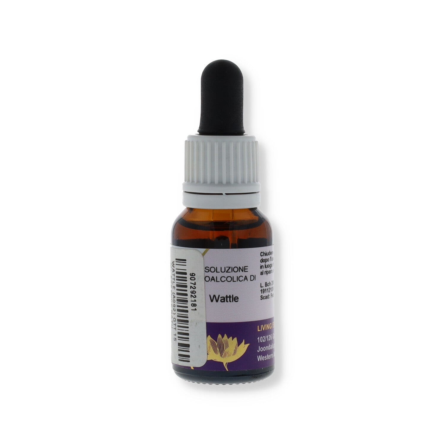 ESSENZA AUSTRALIAN LIVING WATTLE 15ML