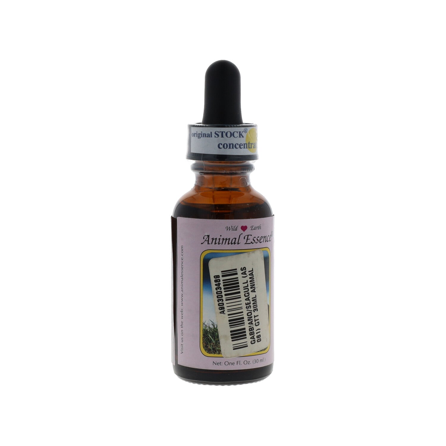 ESSENZA WILD EARTH SEAGULL 30ML