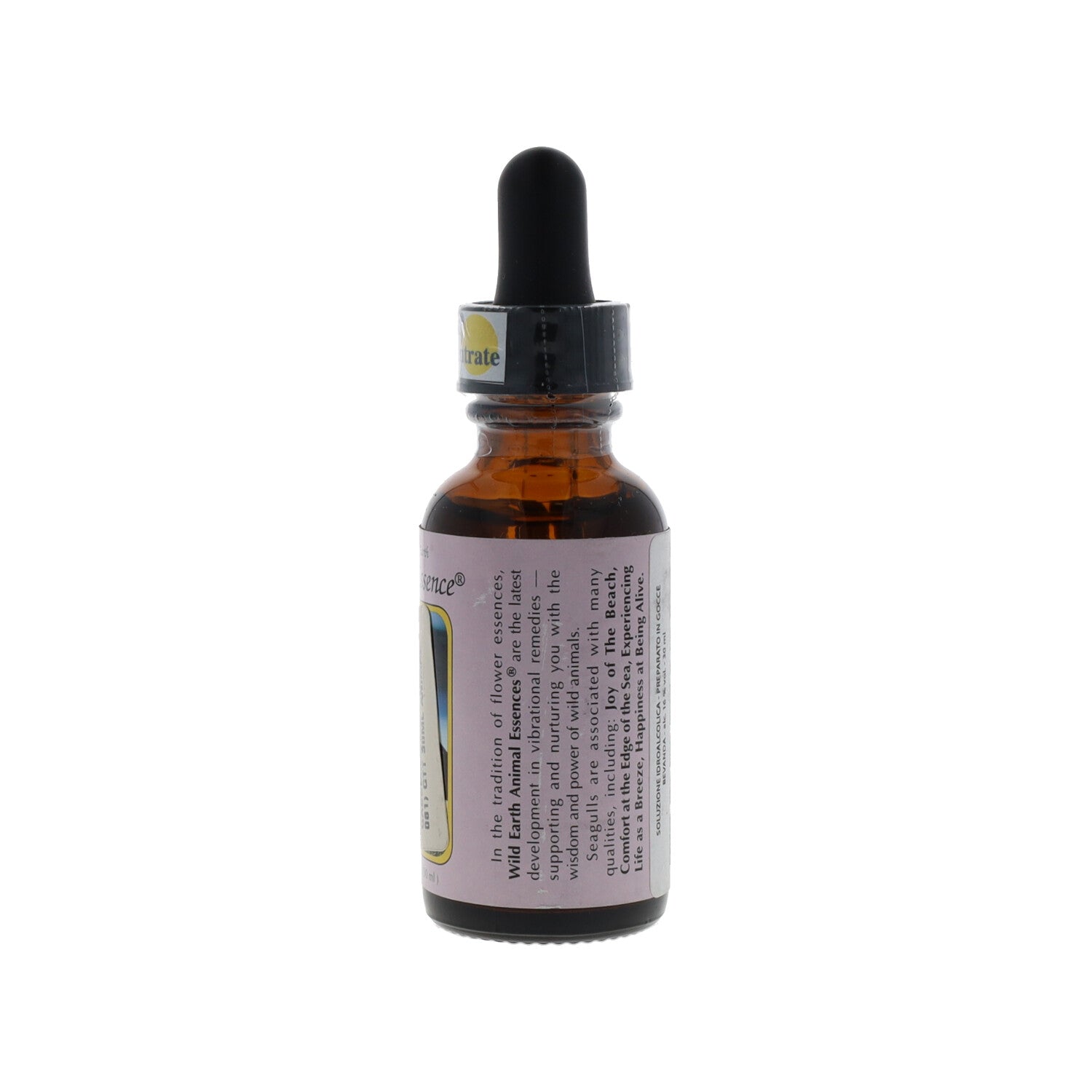 ESSENZA WILD EARTH SEAGULL 30ML