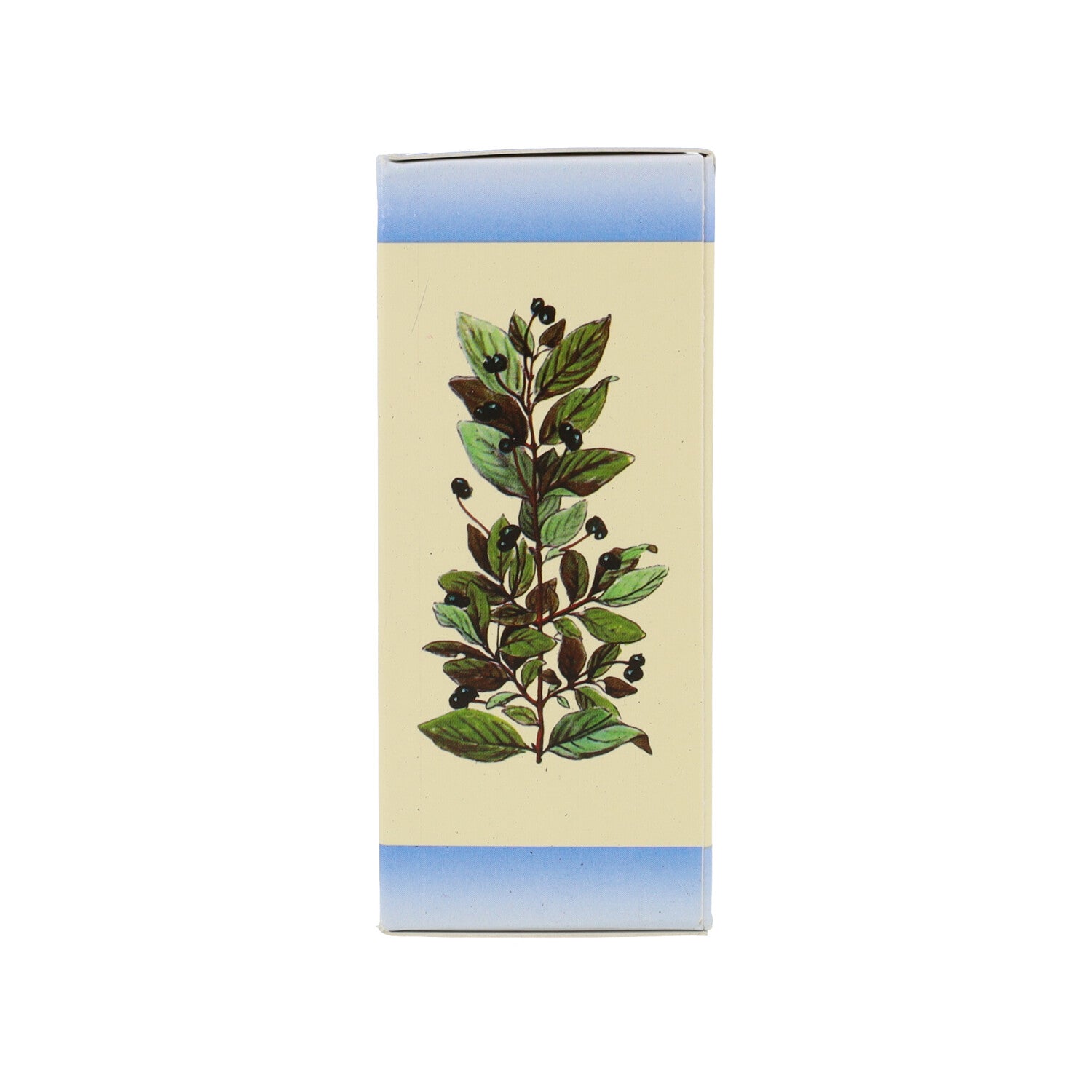 VACCINUM VITIS IDAEA MG - 50ML