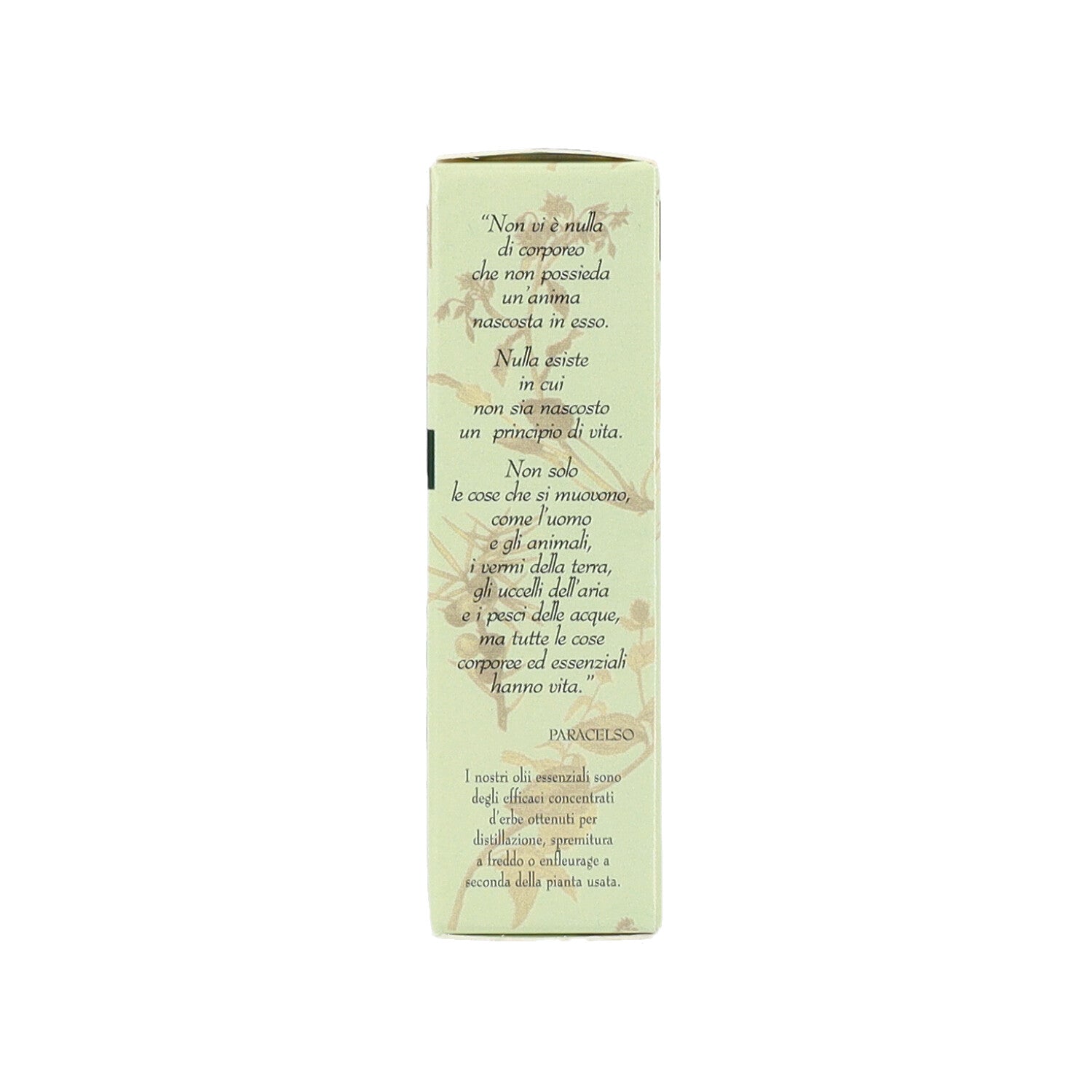 MENTA OLIO ESSENZIALE - 10ML