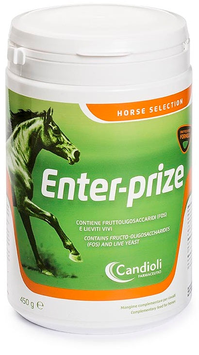 ENTER-PRIZE 450G