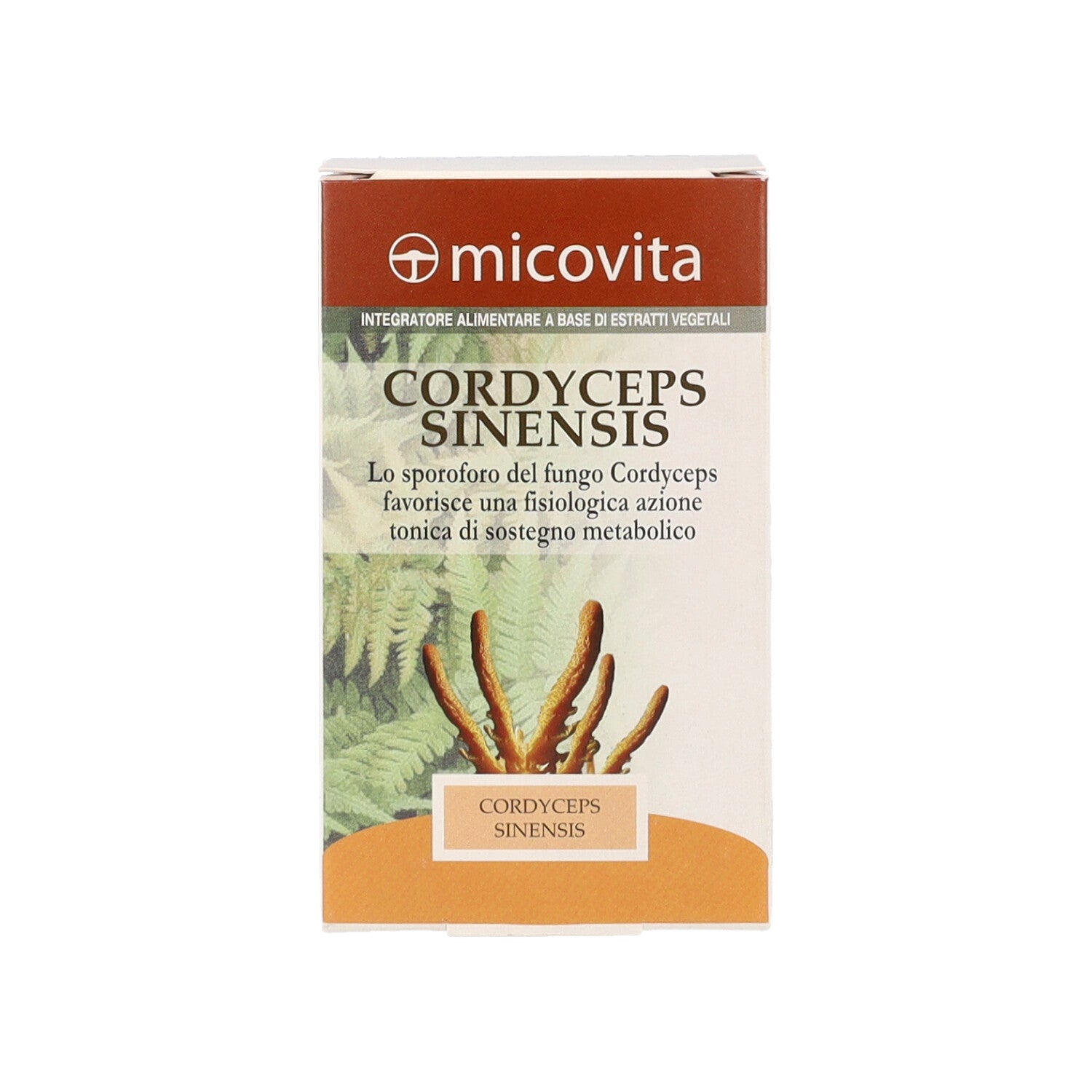 CORDYCEPS FUNGO MICOVITA - 60CPS