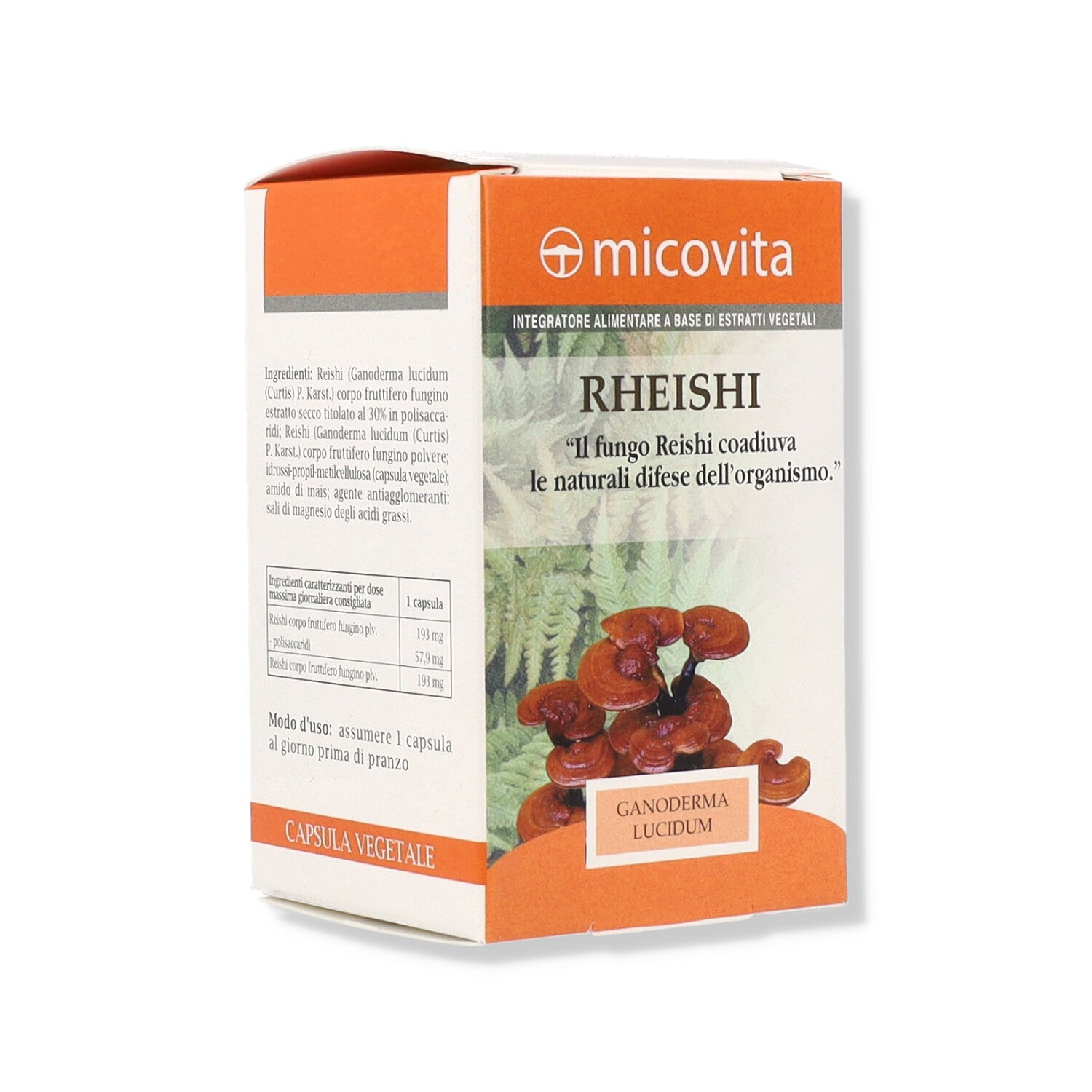 REISHI FUNGO MICOVITA - 60CPS