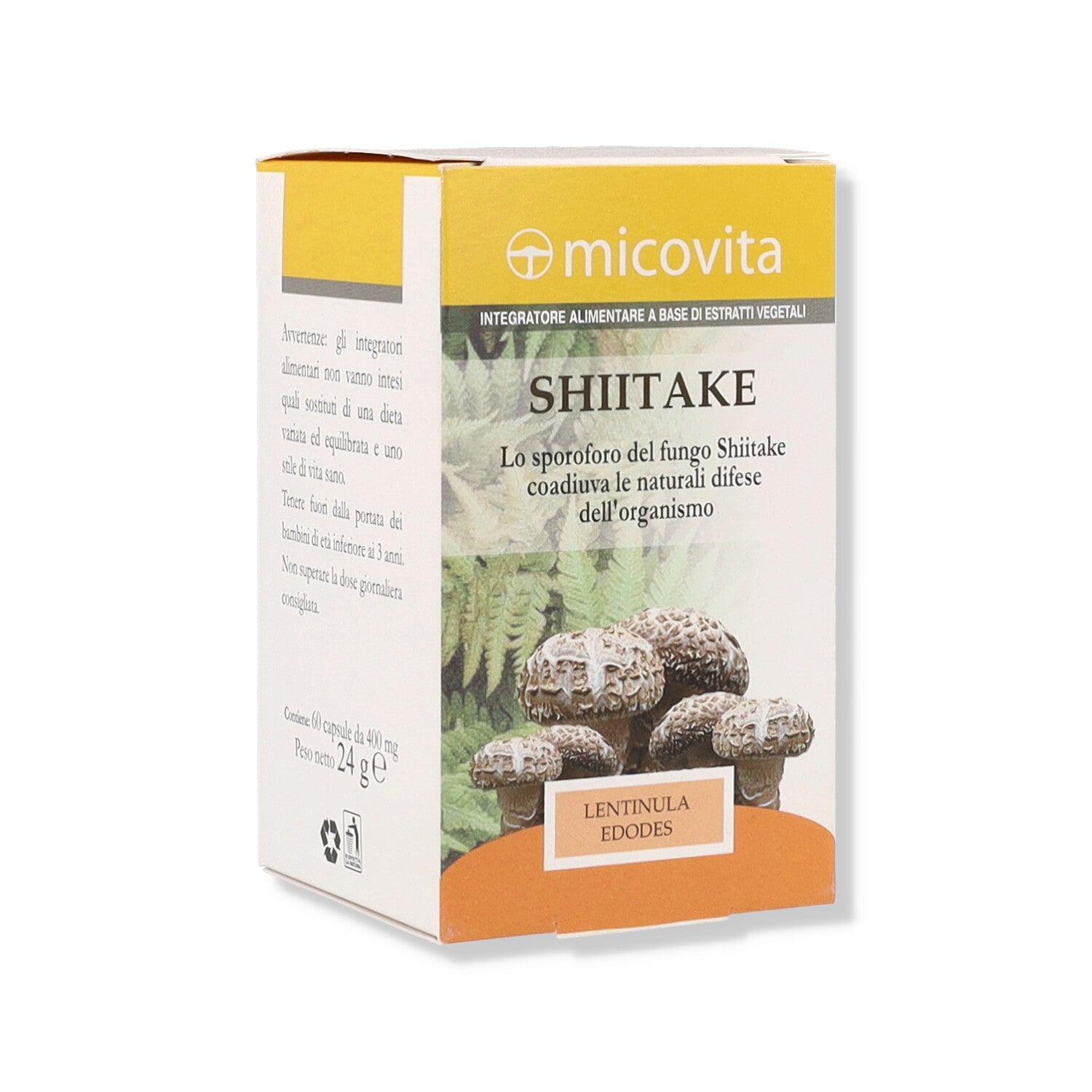 SHIITAKE FUNGO MICOVITA - 60CPS