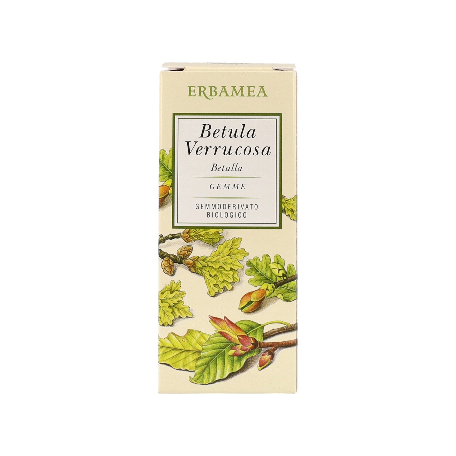 BETULA VERRUCOSA GEMME MG 50ML