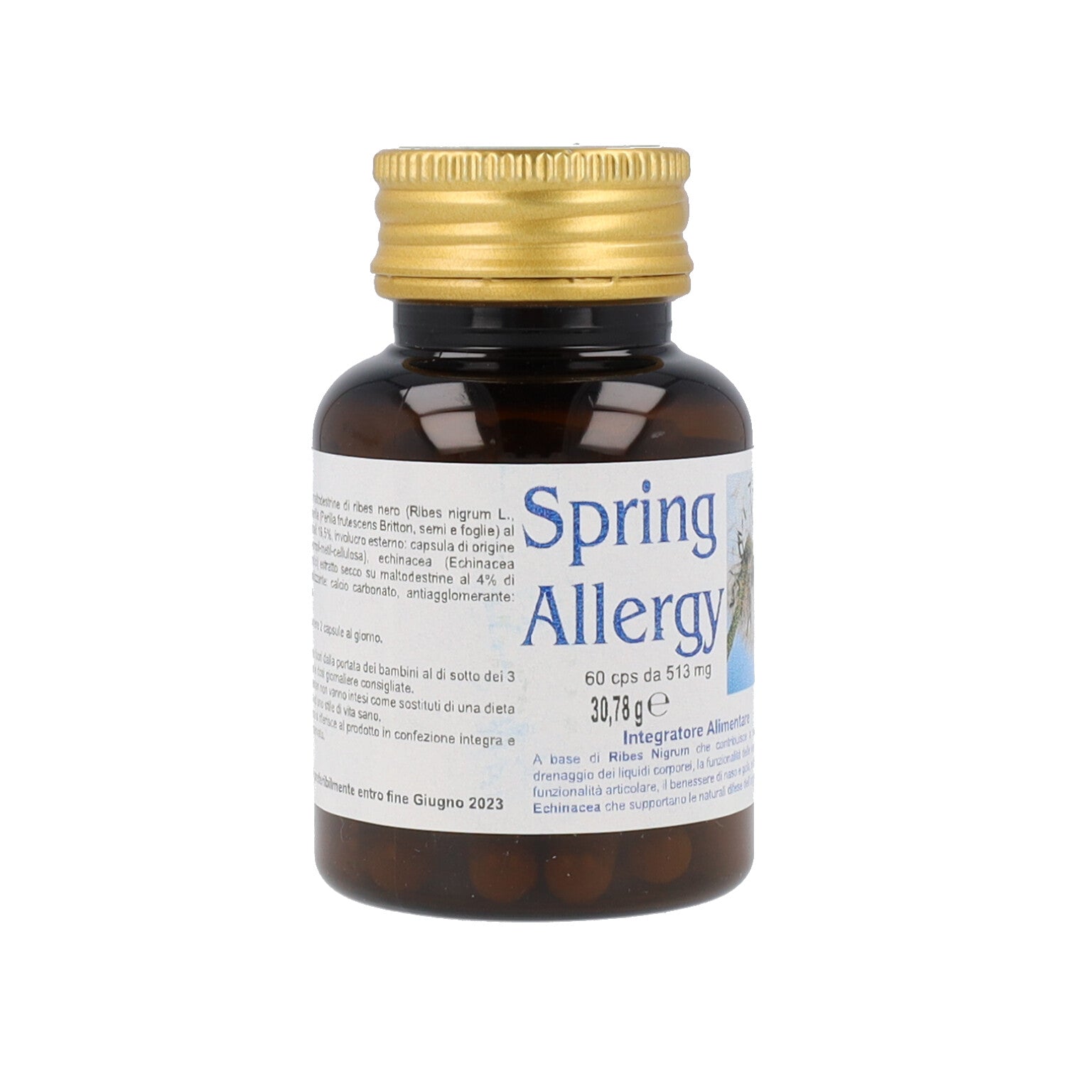 SPRING ALLERGY - 60CPS
