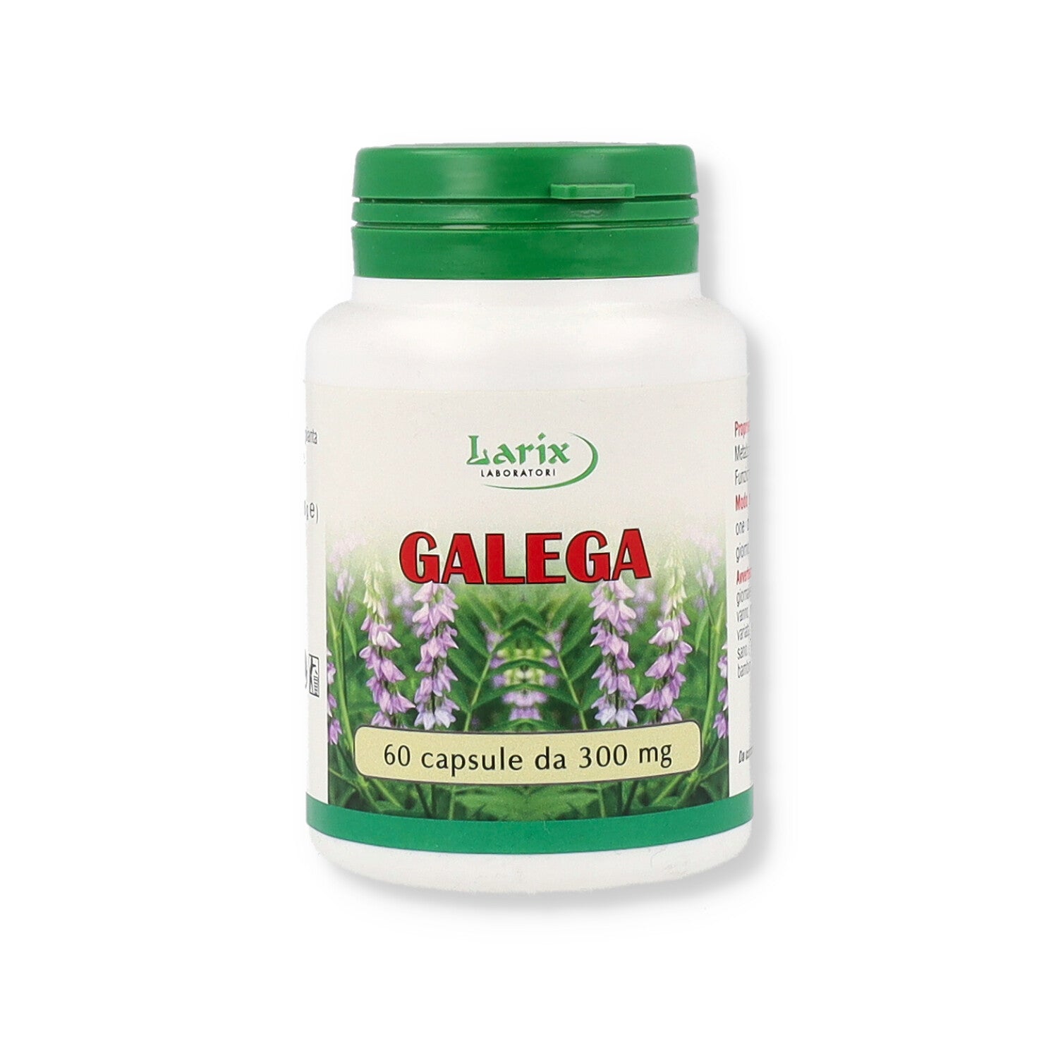 GALEGA - 60CPS