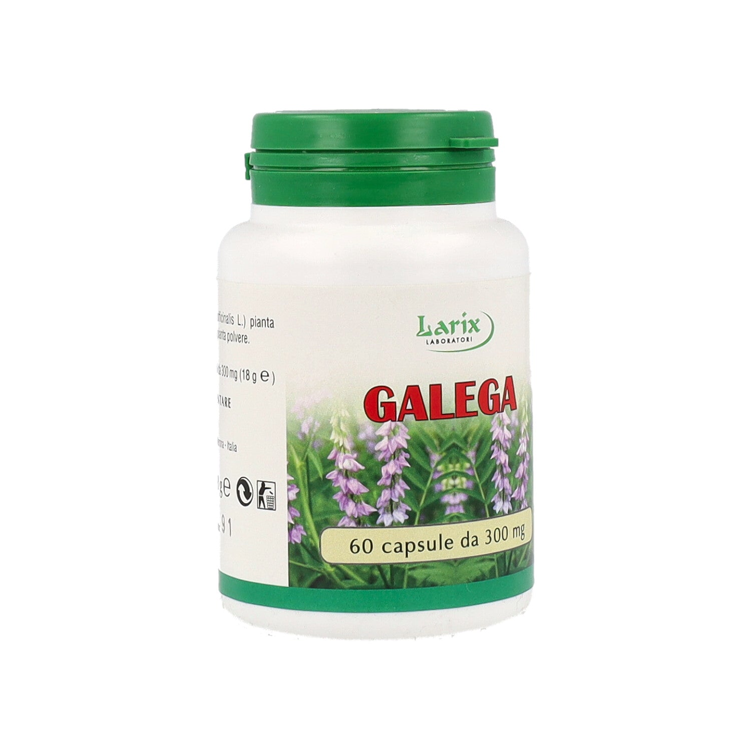 GALEGA - 60CPS