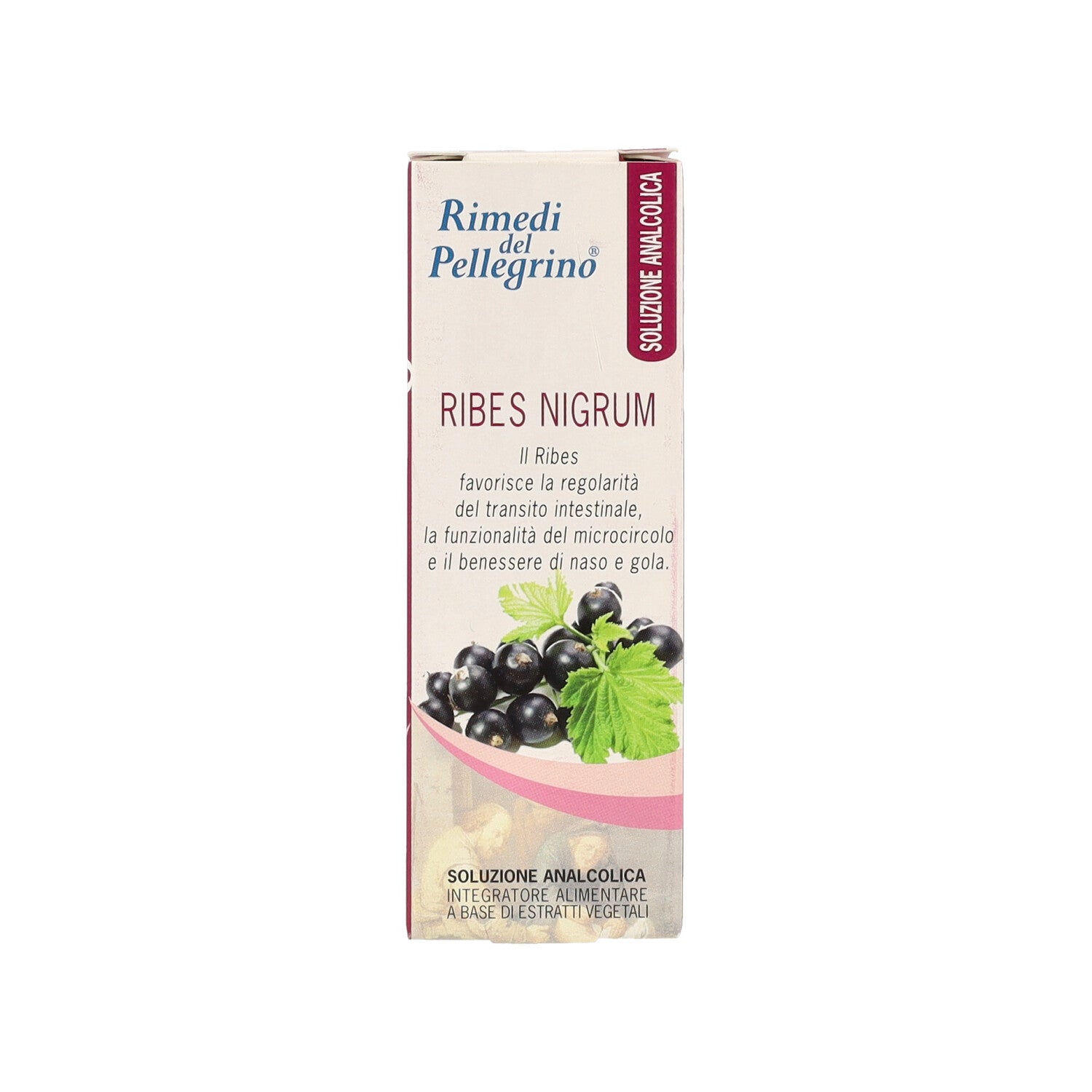 RIBES NERO SOLUZIONE ANALCOLICA