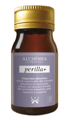PERILLA+ 20CPR