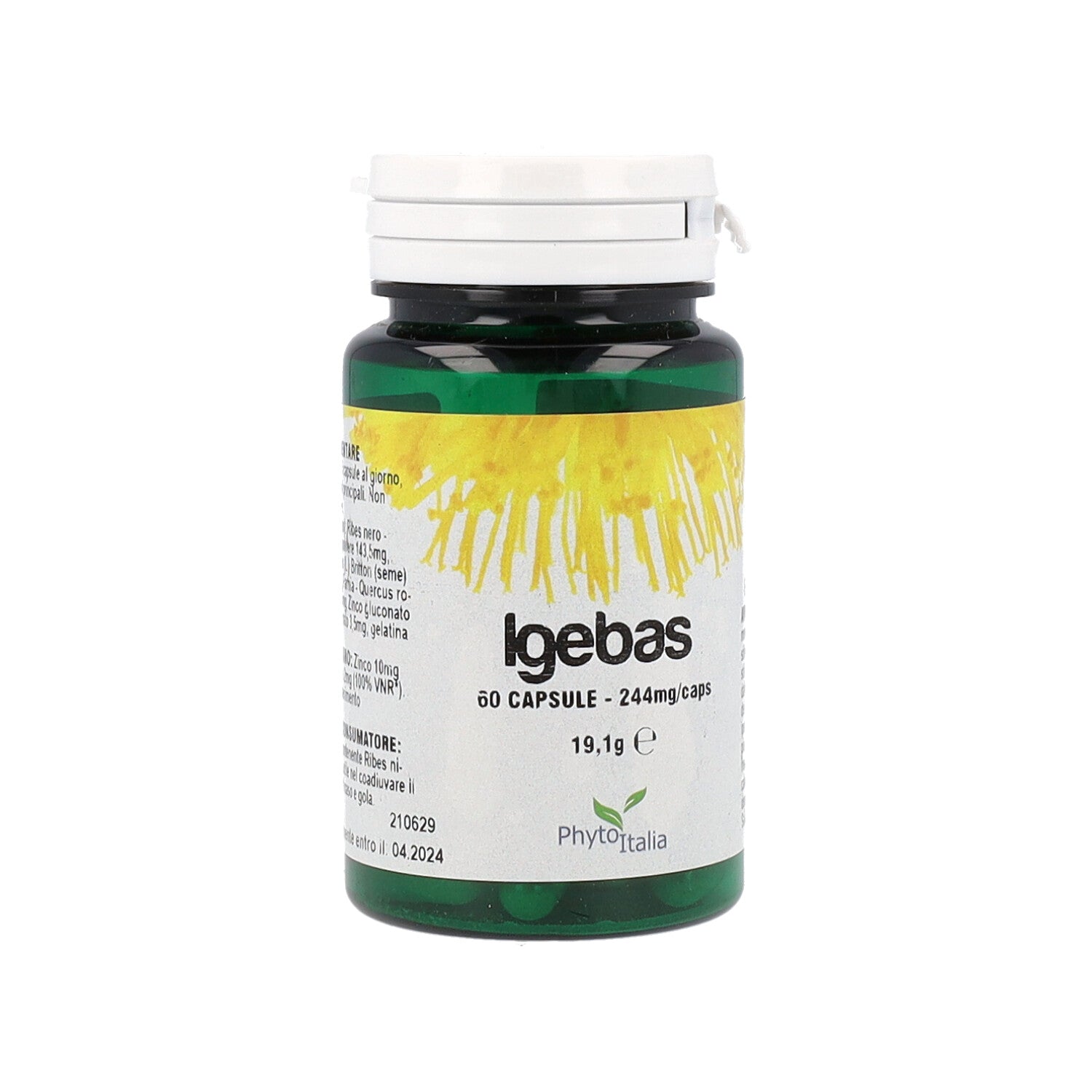 IGEBAS 60CPS