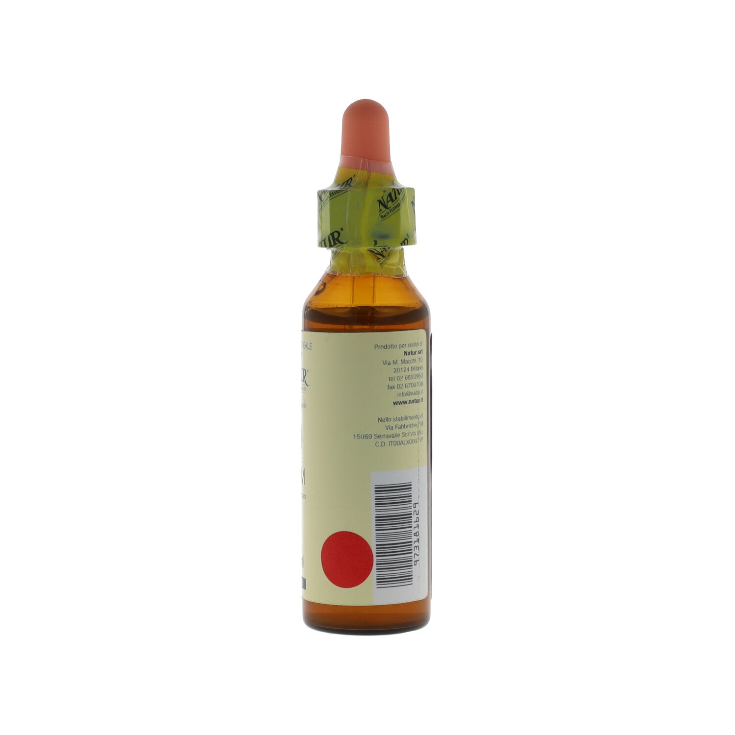 FIORI DI BACH ELM 20 ML