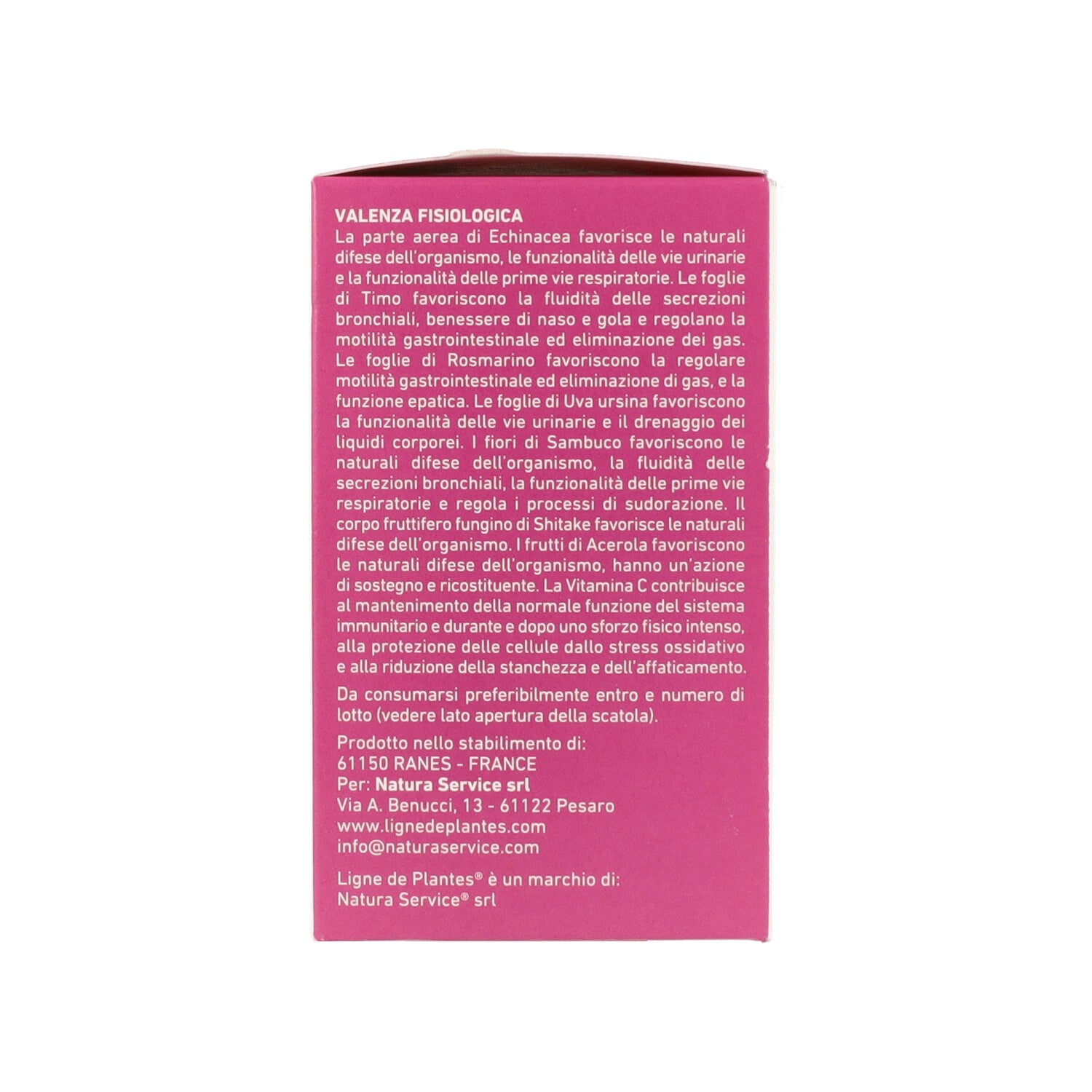 ECHINACEA BIO DEFENSE 15 AMPOLLE X 15ML