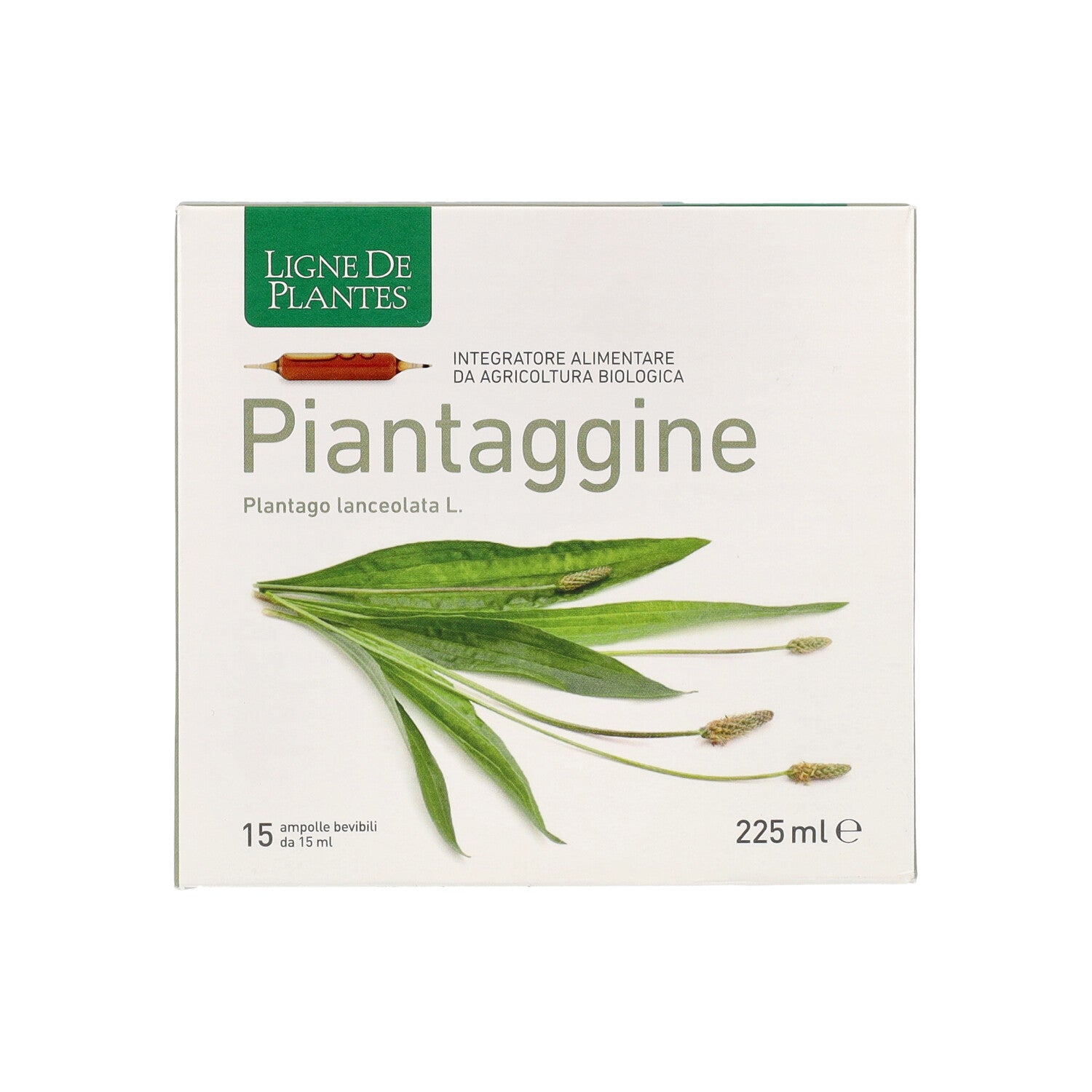PIANTAGGINE 15AB 15ML