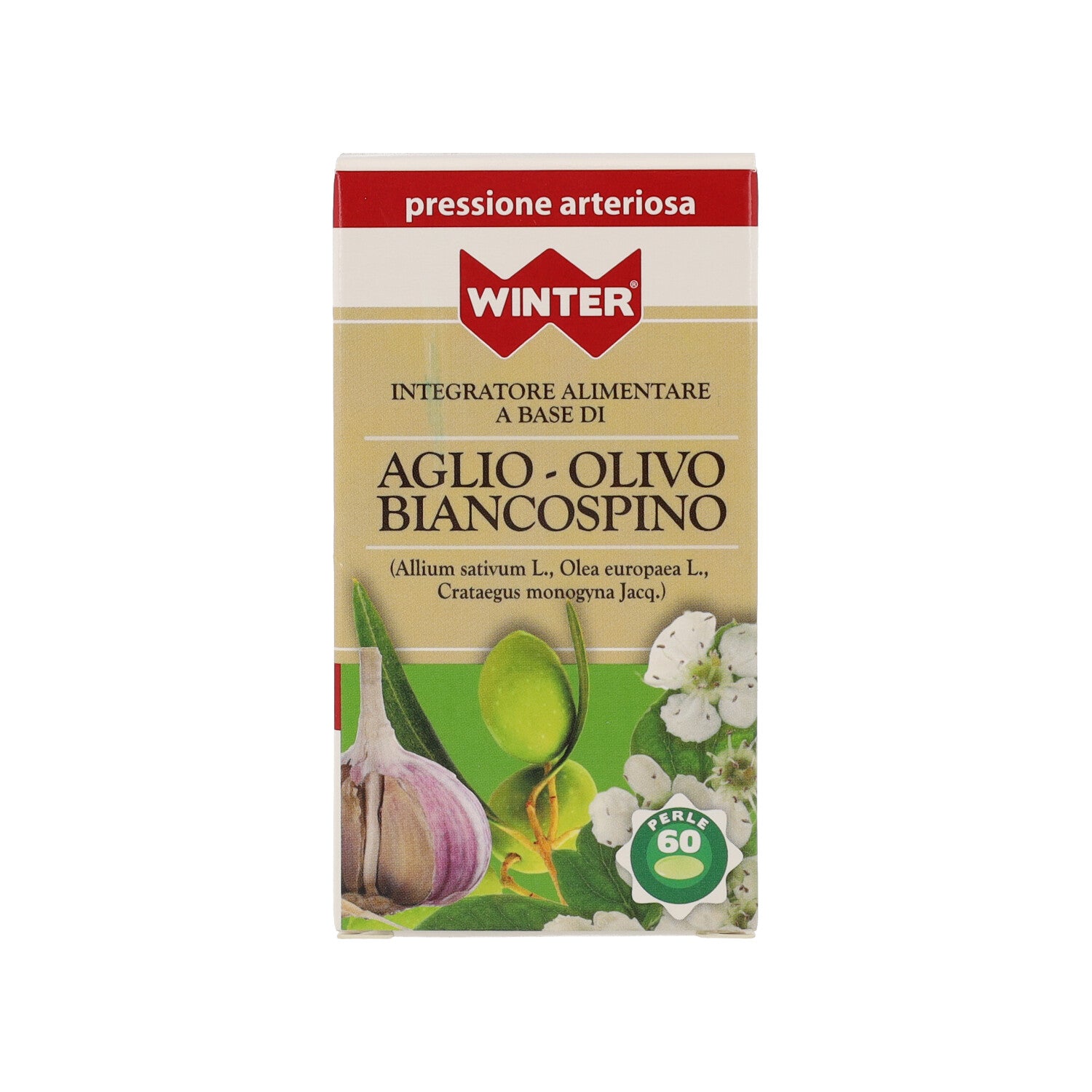 AGLIO BIANCOSPINO OLIVO 60PRL