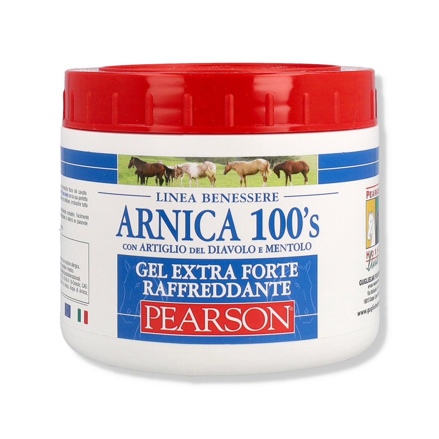 ARNICA 100'S EXTRA FORTE 500ML