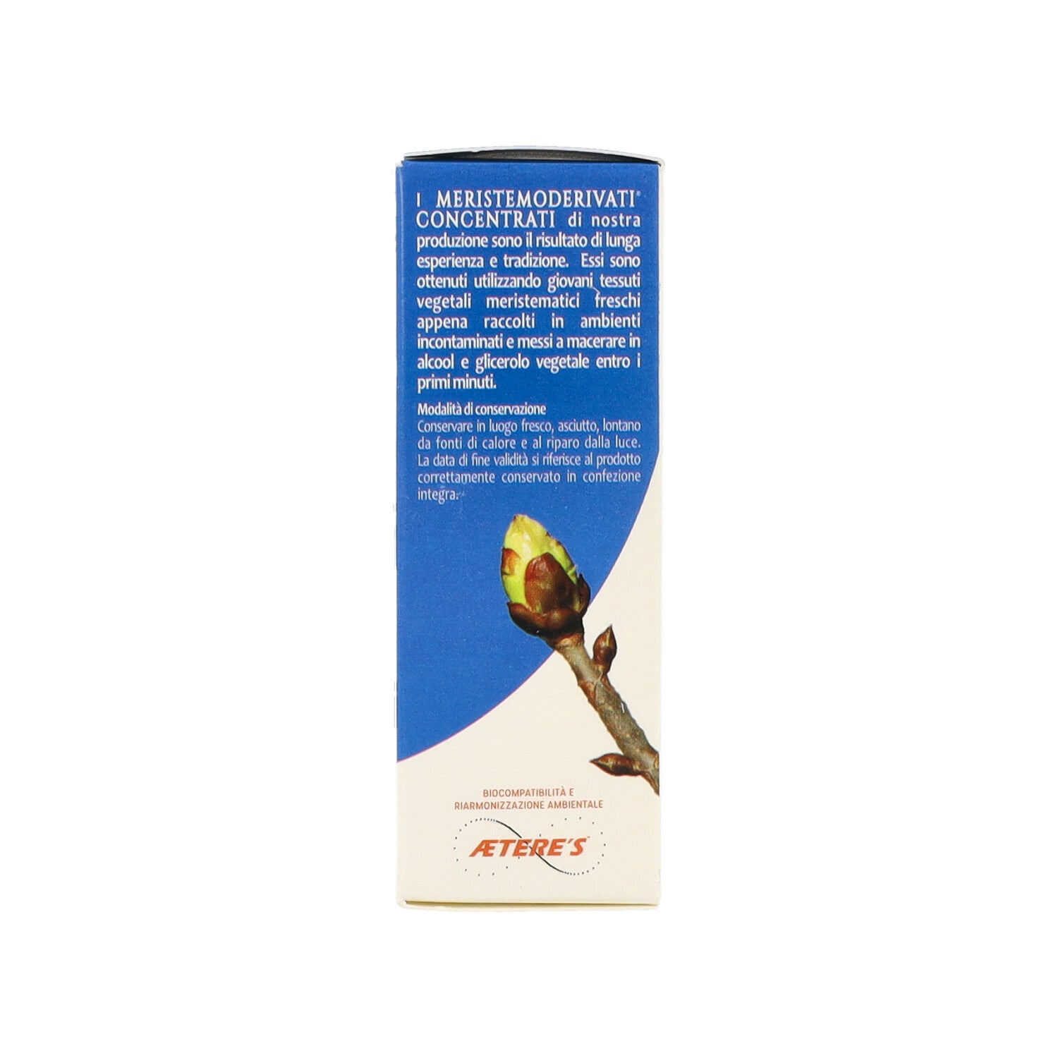 EXTRAGEM BETULLA VERRUCOSA LINFA 20ML
