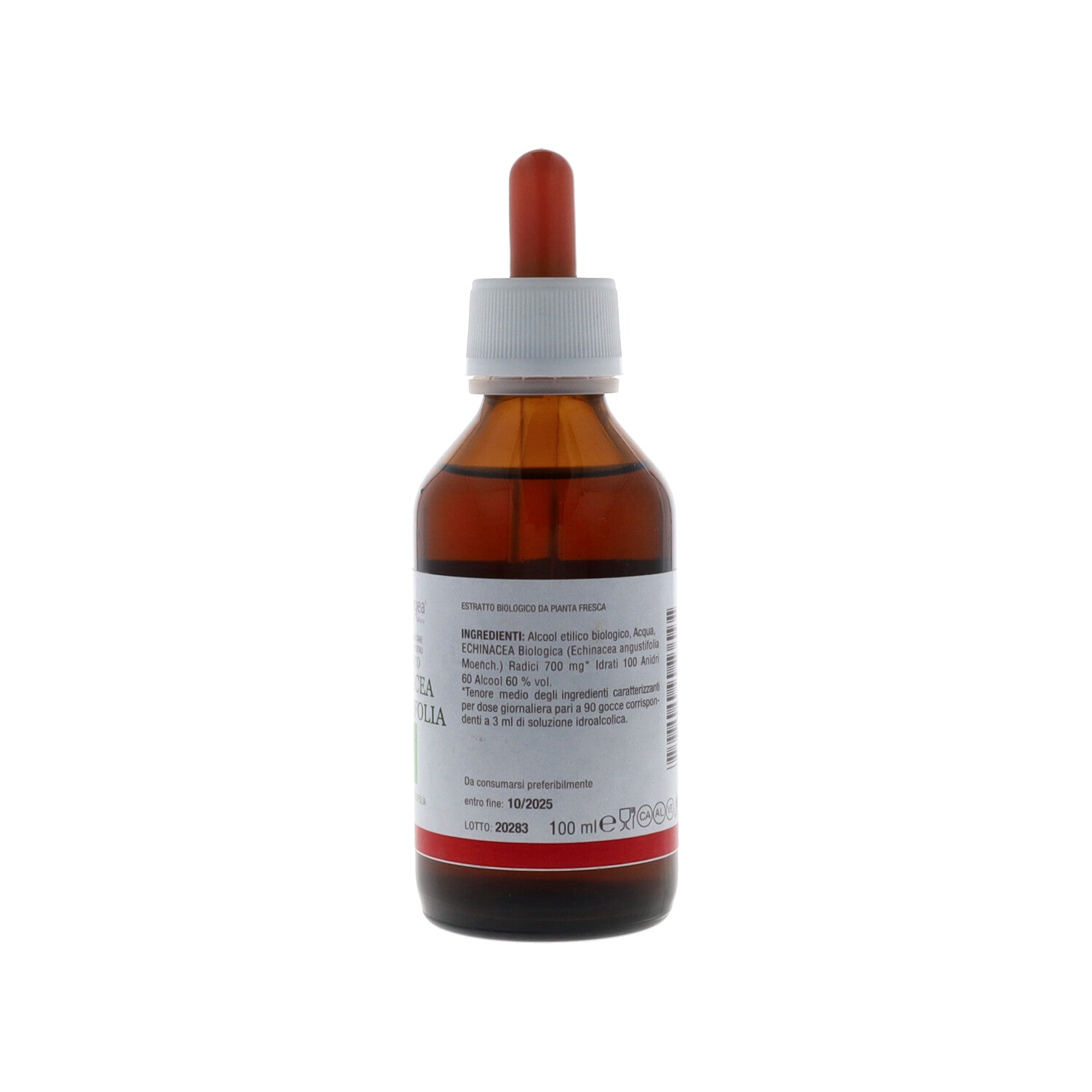 TINTURA MADRE DI ECHINACEA (Echinacea angustifolia) Radice 100ML BIO