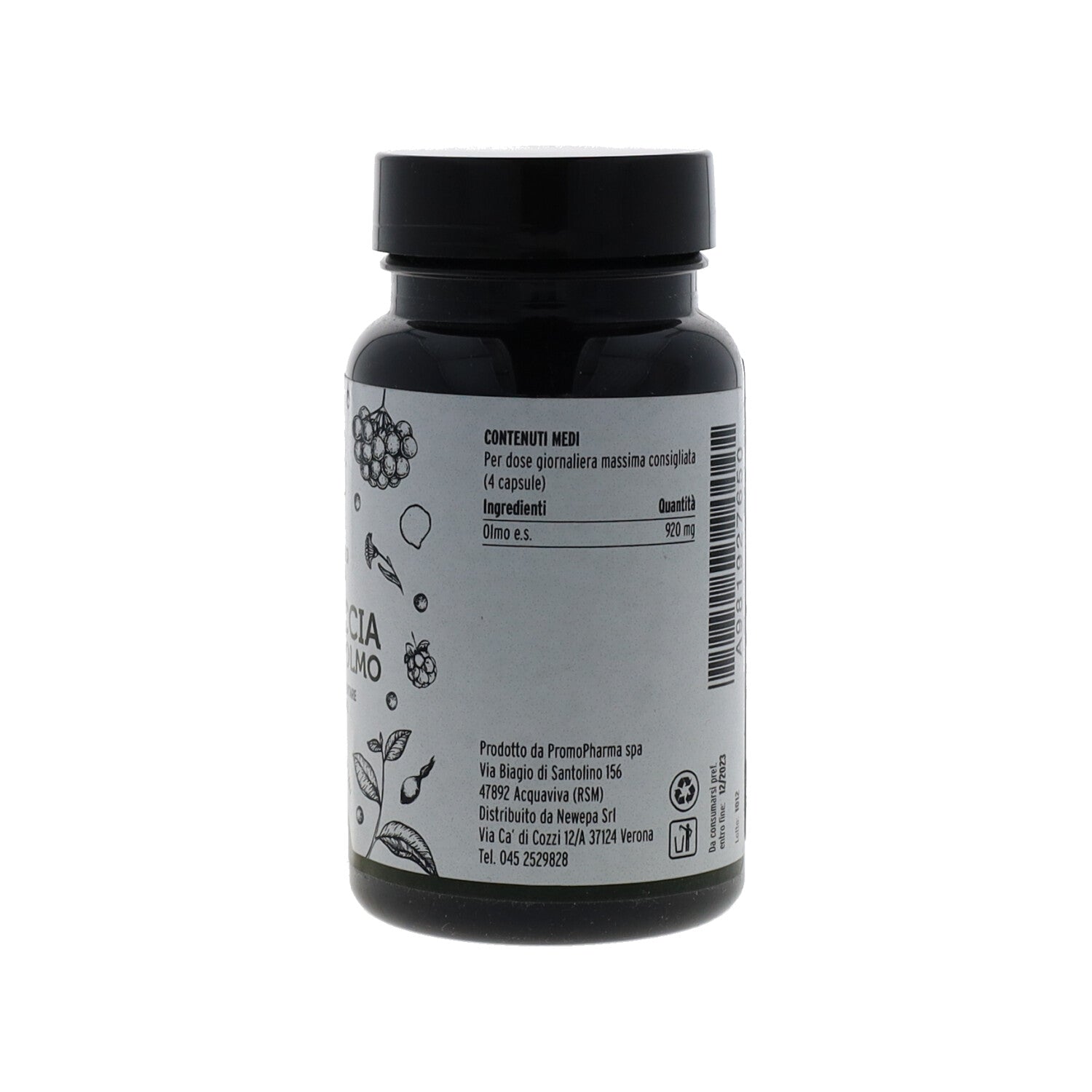 CORTECCIA LISCIA DI OLMO - 60CPS