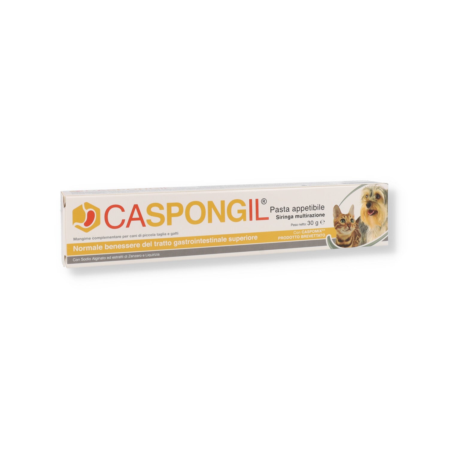 CASPONGIL PASTA 30G
