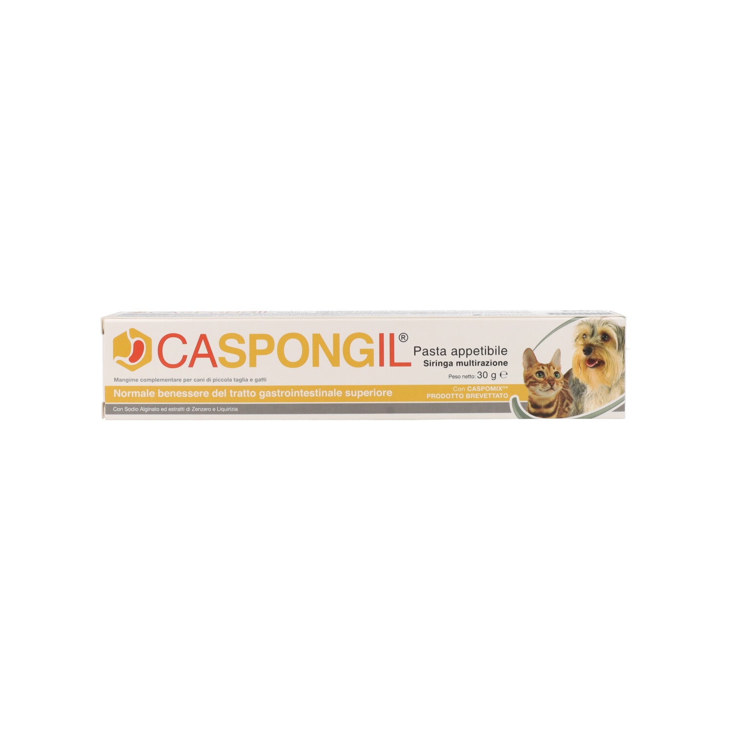 CASPONGIL PASTA 30G