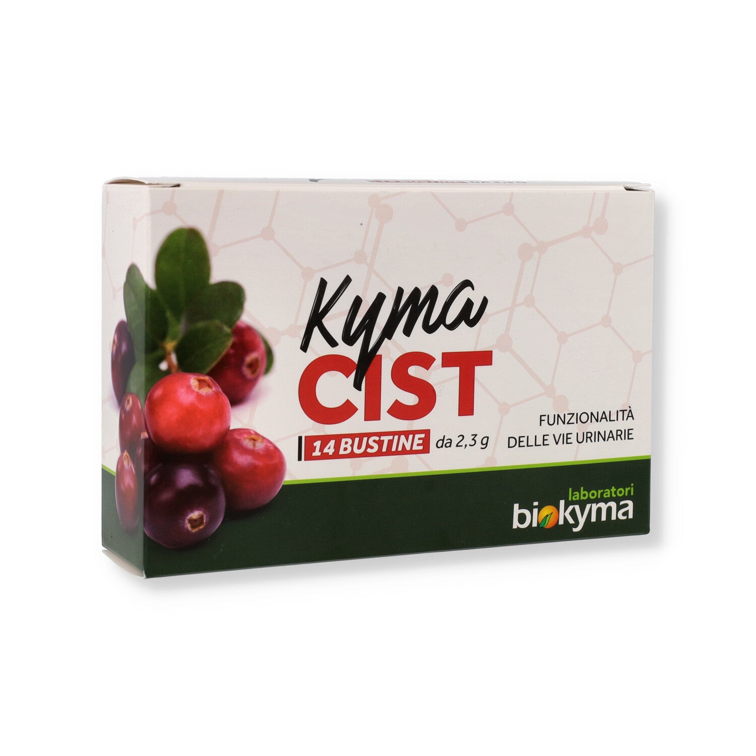 KYMACIST 14 BUSTE