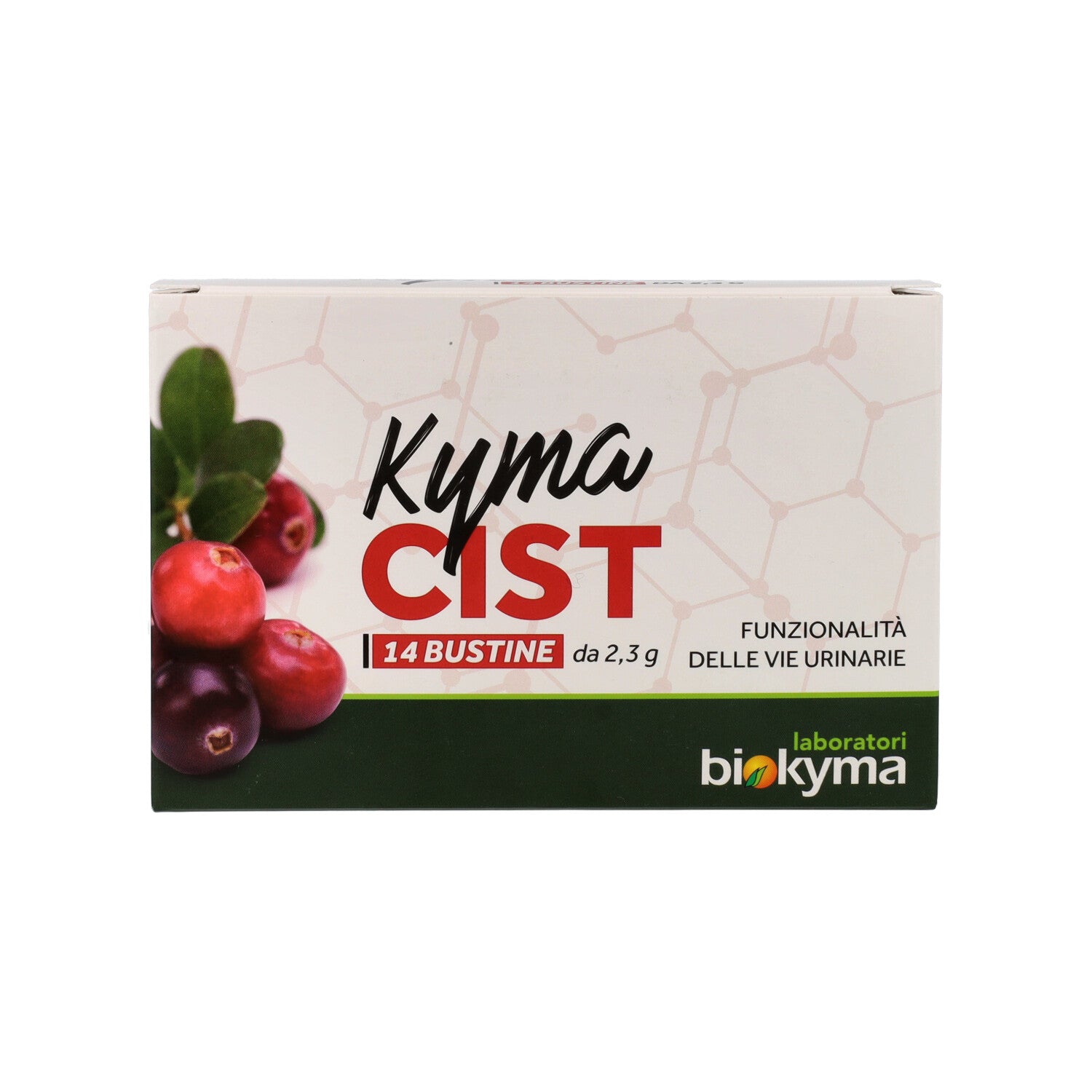 KYMACIST 14 BUSTE